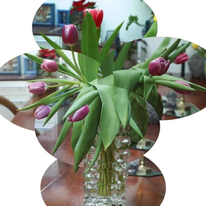 Tulips elliptical joiners Tulips elliptical joiners collage by Sky Hoorne